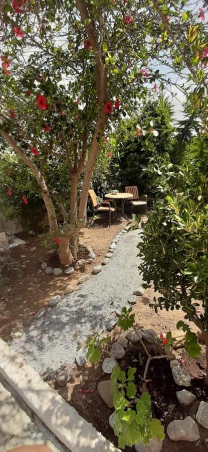 Yialos Studios-Apartments Makrýgialos Extérieur photo